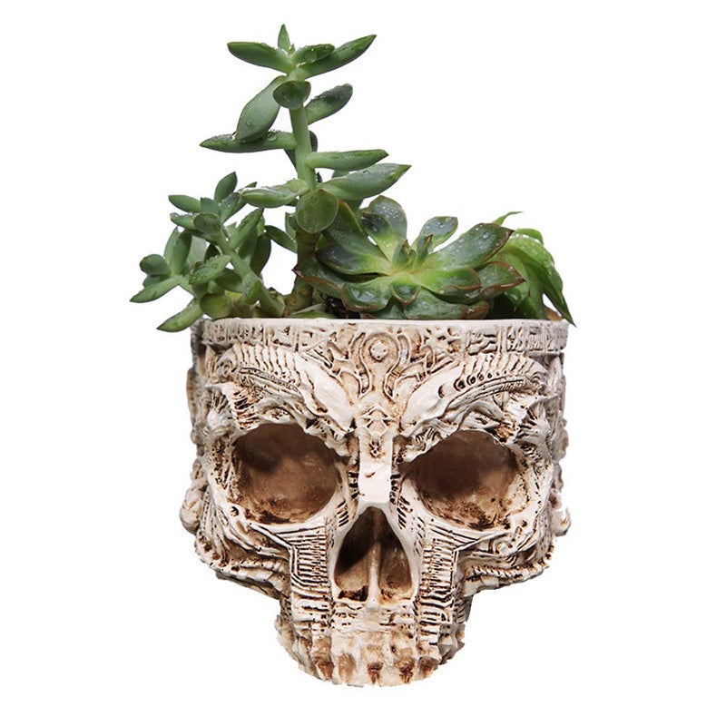ChezMax Skull Planter Suger Holder Resin Flower Succulents Pot Skeleton Flowerpot Candy Bowl Halloween Dish Statue Sculpture Skeleton Indoor Outdoor Decoration - Image 2